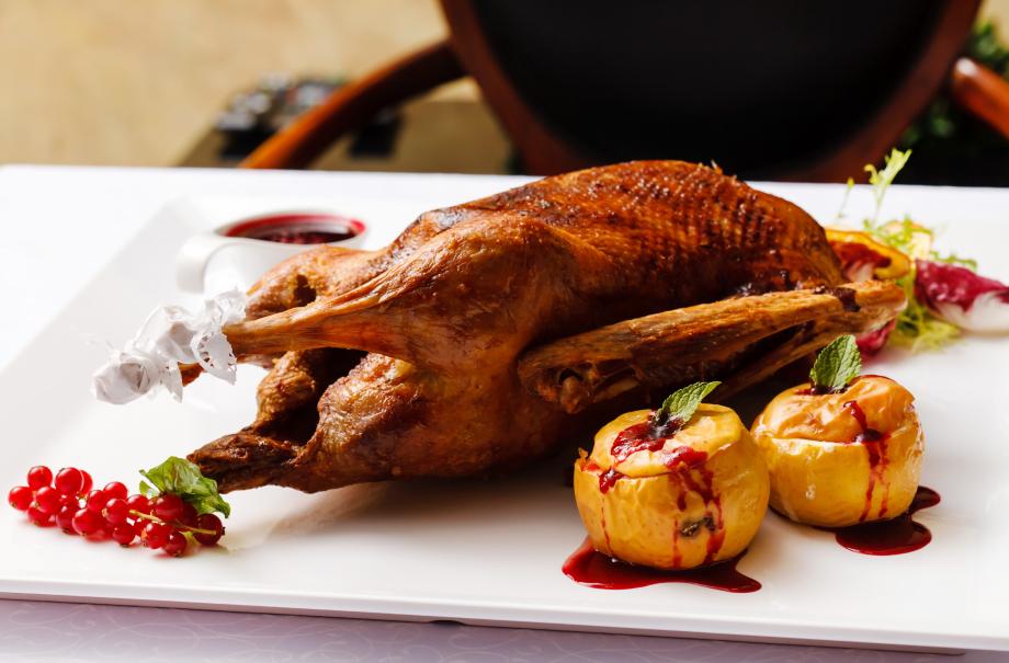 Goose food